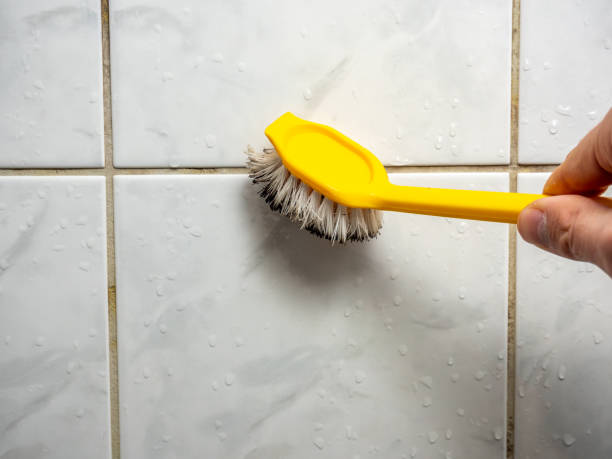 Best Commercial Mold Removal  in Brookhaven, MS